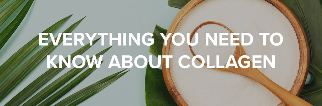 What is Collagen? Everything You Need To Know About Collagen