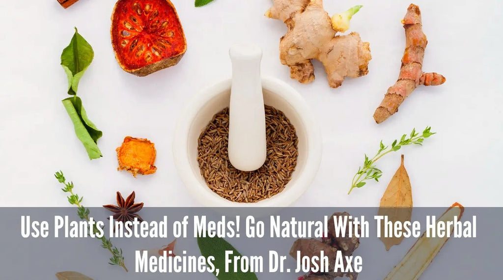 Use-Plants-Instead-of-Meds-Go-Natural-With-These-Top-10-Herbal-Medicines-From-Dr.-Josh-Axe Further Food