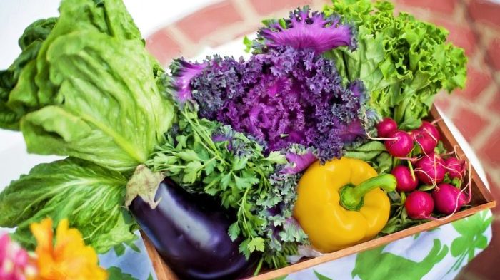 5 Reasons to Eat a Plant-Based Diet for Diabetes