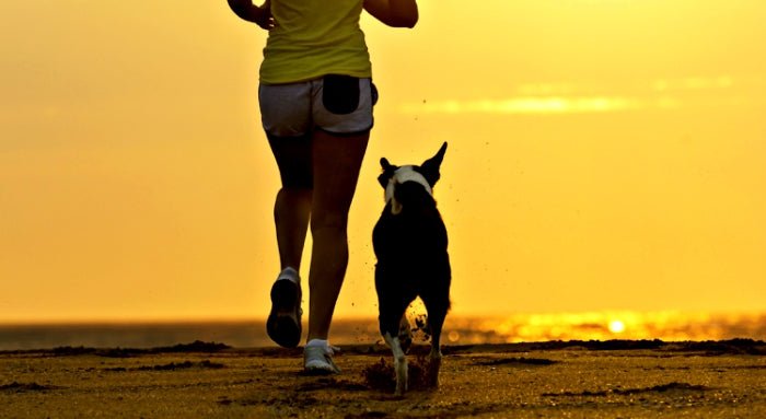 paleo-diet-mindfulness-healed-my-lyme-disease