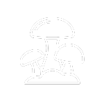 featured_mushrooms