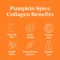 Pumpkin Spice Collagen Powder - Further Food