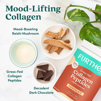 Chocolate Collagen Peptides Powder - Further Food -