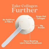 Hazelnut Collagen Peptides Powder | Further Food