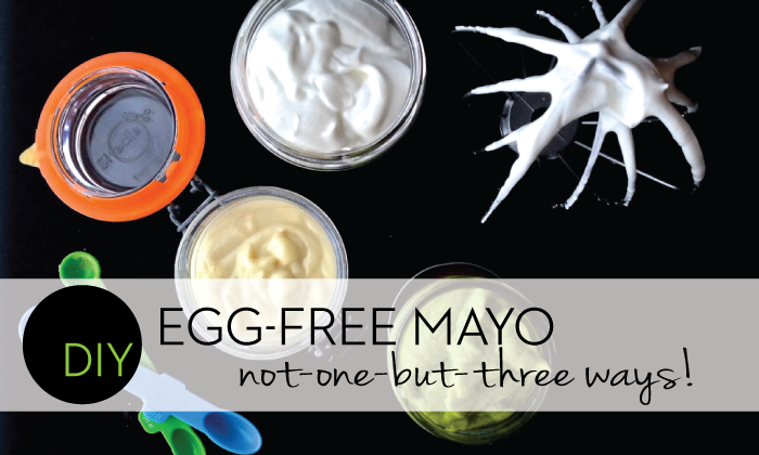 Do It Yourself DIY Egg-Free Mayo