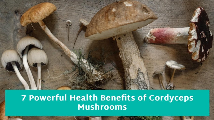 7 Powerful Health Benefits of Cordyceps Mushrooms