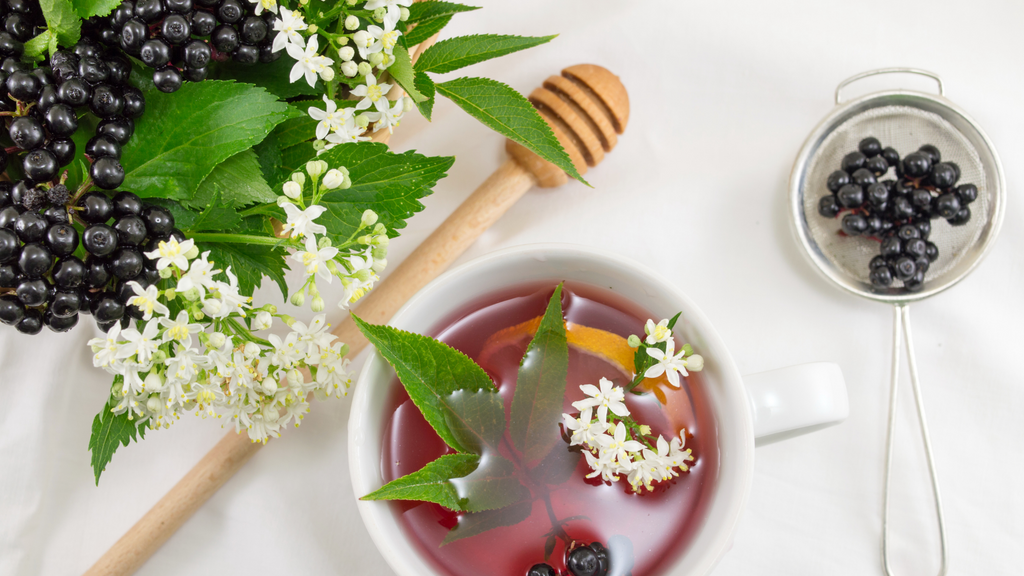 Scientifically Proven Benefits of Elderberry for Immune Support