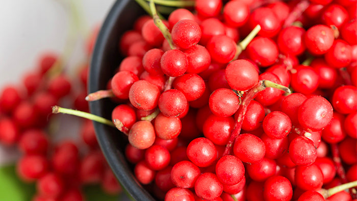 schisandra-berry-natural-healing-health-benefits