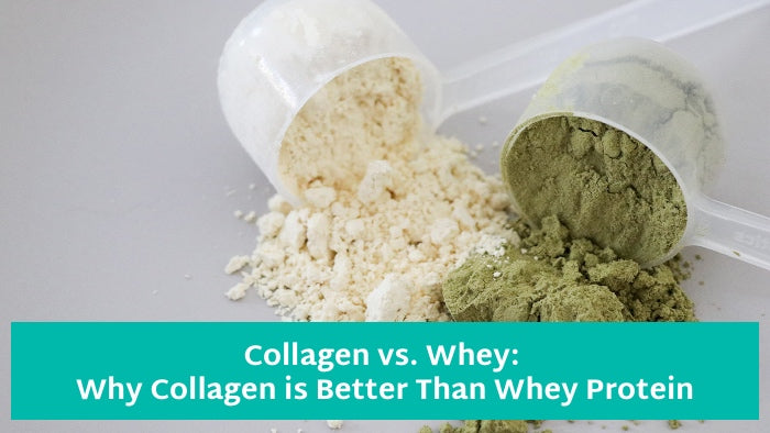 Collagen vs. Whey: Why Collagen is Better Than Whey Protein