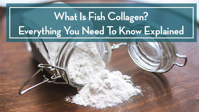 what is fish collagen