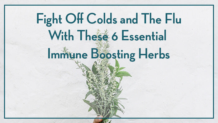 fight-off-colds-and-the-flu-with-immune-boosting-herbs-advice-from-clinical-herbalist