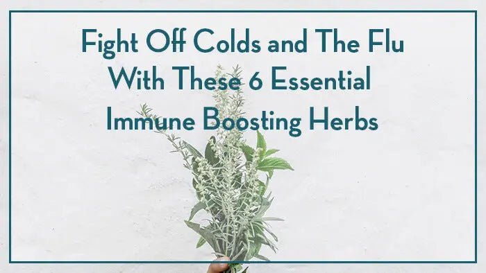 Fight Off Colds and The Flu With These 6 Essential Immune Boosting