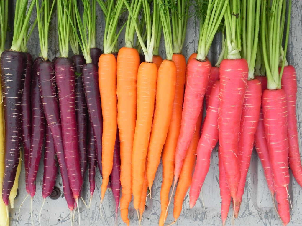 Replacing Meds with Food to Control MS a Meal Plan