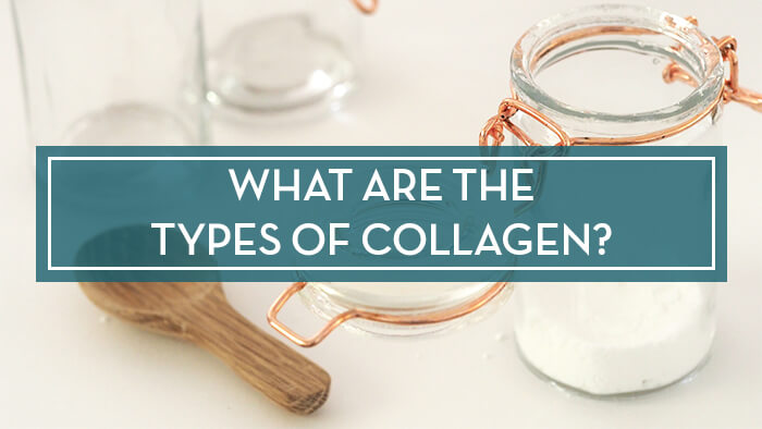 what are the types of collagen