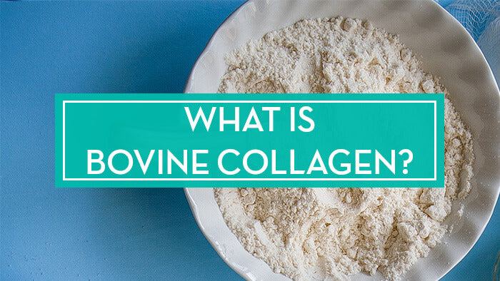 what-is-bovine-collagen