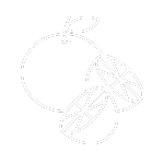 featured_immune-support