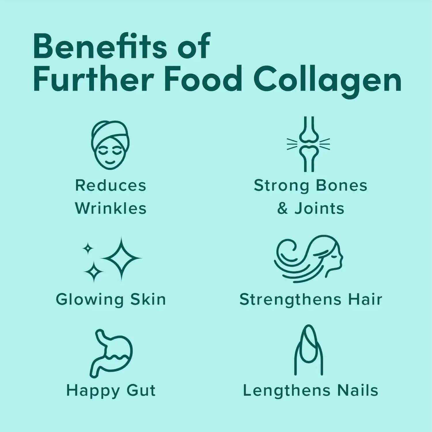 Chocolate Collagen Sampler Pack (4 ct.) | Further Food