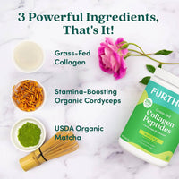 Matcha Collagen Peptides Powder | Further Food