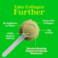Matcha Collagen Peptides Powder | Further Food