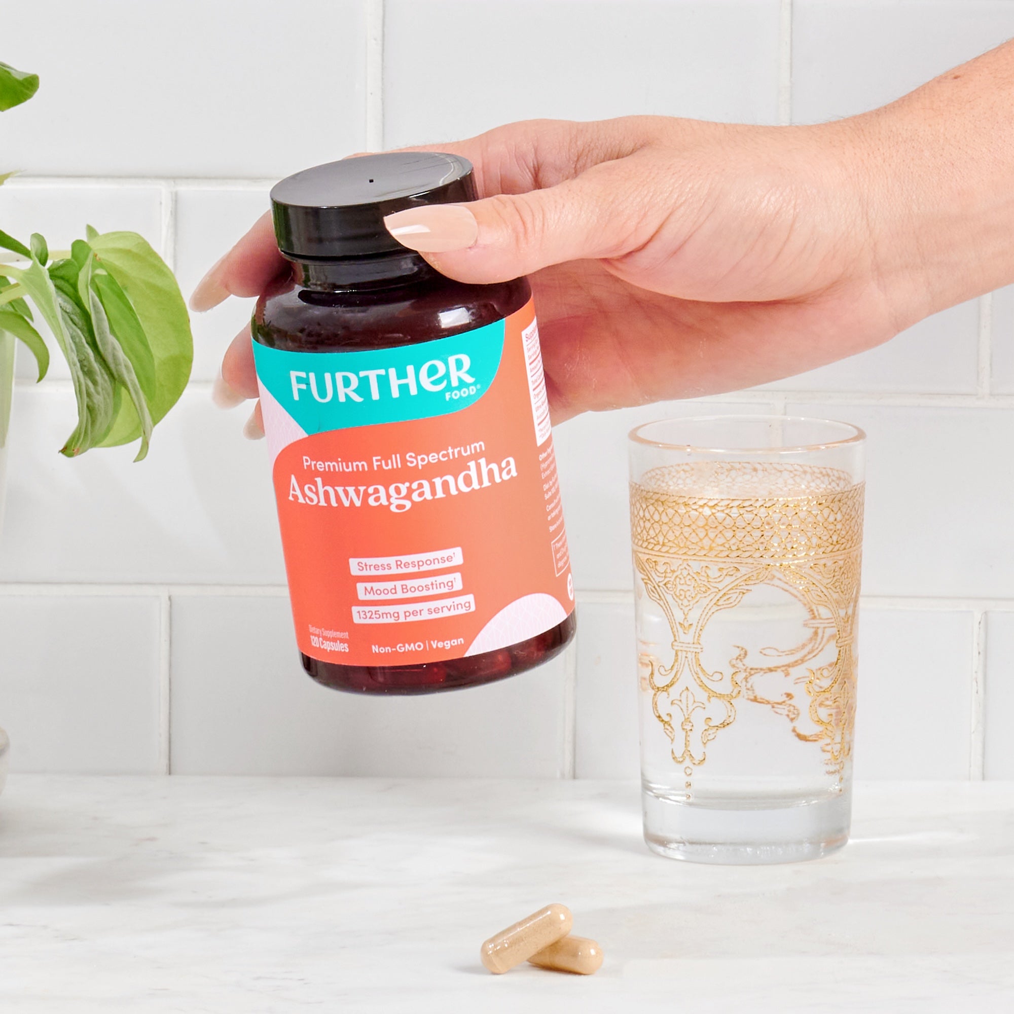 New Year Starter Kit