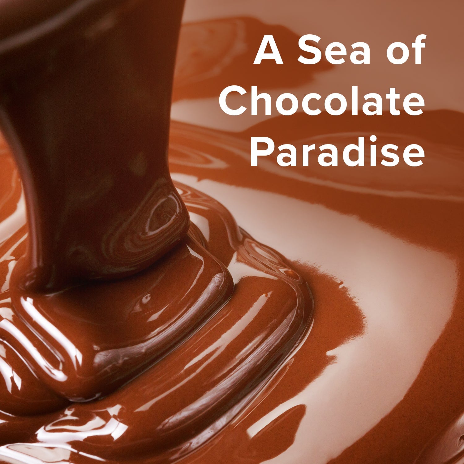 Further Food Chocolate Marine Collagen, A Sea of Chocolate Paradise
